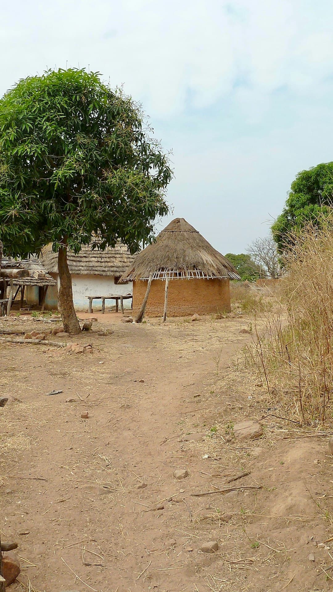 A path through a Nabdam homestead in the dry season, running past a round earth dwelling toward open scrub.